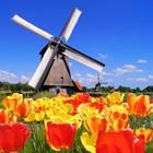 holland