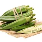 OKRA