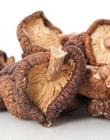 shiitake